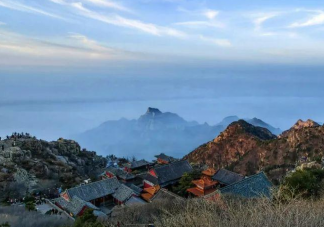 大学生为何都涌向泰山 大学生都去爬泰山的原因