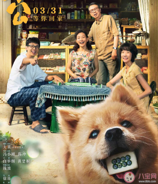 《忠犬八公》影评美篇 《忠犬八公》好不好看