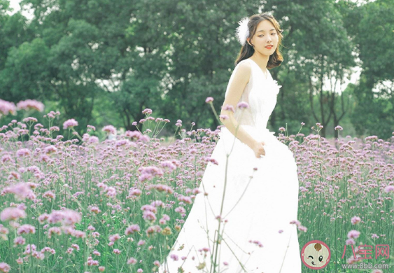 你会选择迂回式恋爱吗 迂回在感情上什么意思