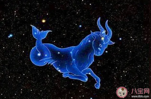 摩羯座真的还蛮会照顾人的 摩羯座是怎样的人