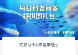 海獭为什么牵着手睡觉 神奇海洋4月4日答案