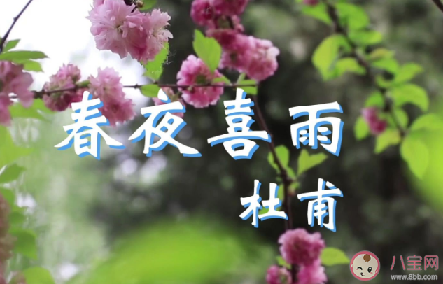 泥融飞燕子沙暖睡鸳鸯描写的哪个季节景象 蚂蚁庄园4月8日答案