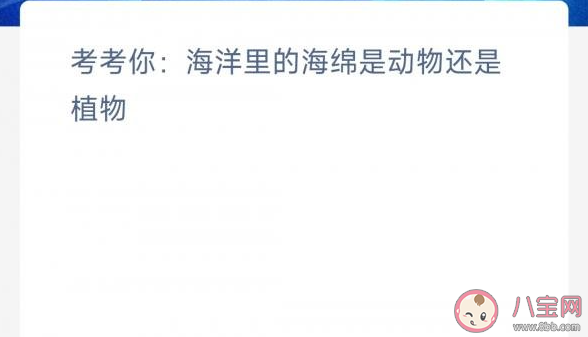 海洋里的海绵是动物还是植物 神奇海洋4月7日答案