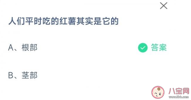 人们平时吃的红薯其实是它的什么 蚂蚁庄园4月8日答案