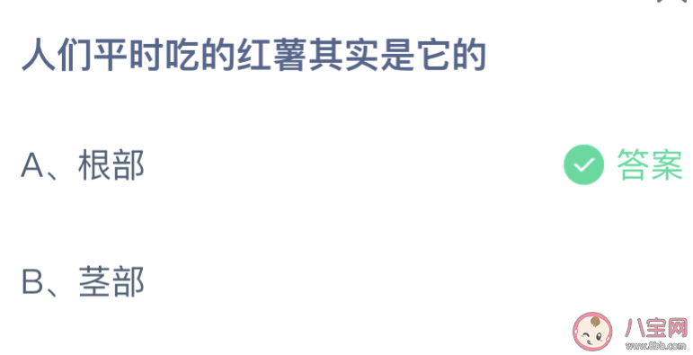蚂蚁庄园人们平时吃的红薯其实是它的 小课堂4月8日答案