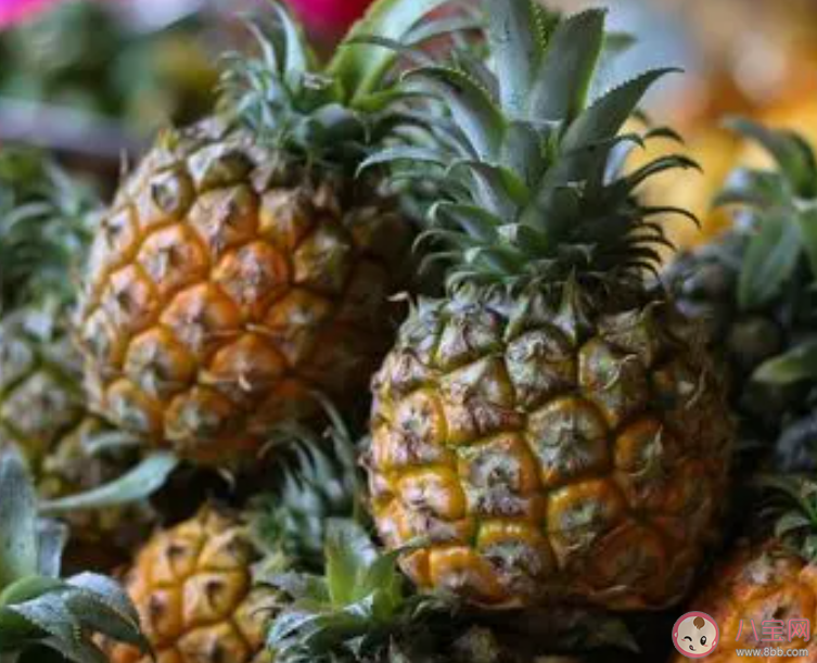 菠萝为啥要用盐水泡一下再吃 怎样挑选菠萝 菠萝为啥要用盐水泡一下再吃 怎样挑选菠萝