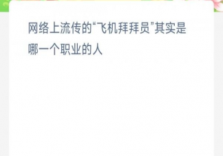 网络上流传的飞机拜拜员其实是哪一个职业的人 蚂蚁新村4月7日答案