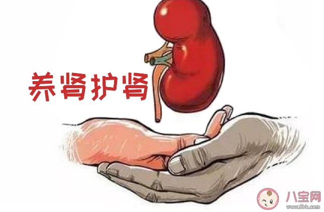 肾脏有多重要 7个护肾清单建议