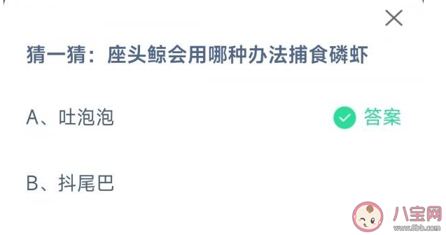 座头鲸会用哪种方法捕食磷虾 蚂蚁庄园4月11日答案 座头鲸会用哪种方法捕食磷虾 蚂蚁庄园4月11日答案