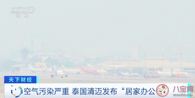 泰国清迈发布居家办公令 为什么清迈的空气质量会如此糟糕 泰国清迈发布居家办公令 为什么清迈的空气质量会如此糟糕