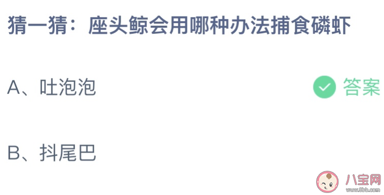 蚂蚁庄园座头鲸会用哪种办法捕食磷虾 小课堂4月11日答案 蚂蚁庄园座头鲸会用哪种办法捕食磷虾 小课堂4月11日答案