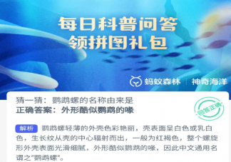 猜一猜鹦鹉螺的名称由来是 神奇海洋4月11日答案