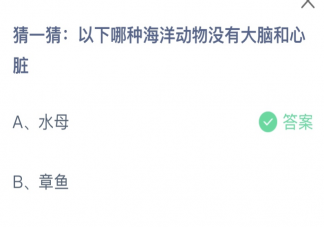 猜猜以下哪种海洋动物没有大脑和心脏 蚂蚁庄园4月12日答案