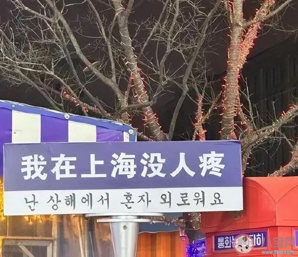 网红路牌为什么不网红了 网红路牌带来了哪些影响