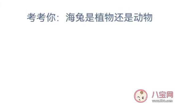 海兔是植物还是动物 神奇海洋4月12日答案