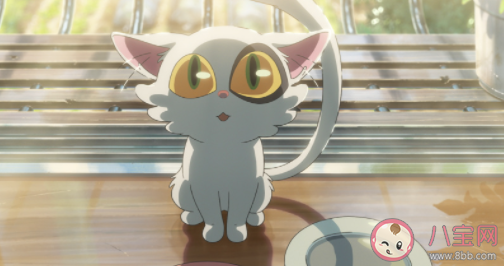 如何看待大臣猫的牺牲 你喜欢大臣猫吗