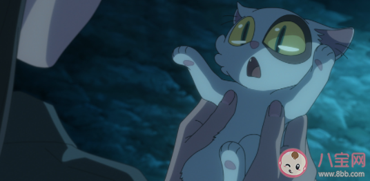 如何看待大臣猫的牺牲 你喜欢大臣猫吗