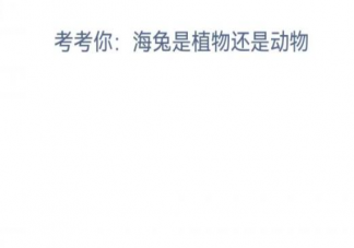 海兔是植物还是动物 神奇海洋4月12日答案