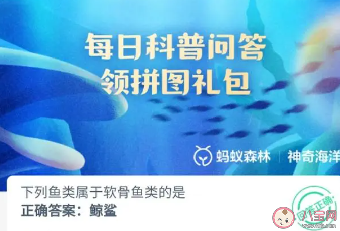 下列鱼类属于软骨鱼类的是 神奇海洋4月13日答案