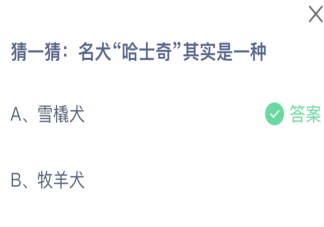 名犬哈士奇其实是一种 蚂蚁庄园4月14日答案