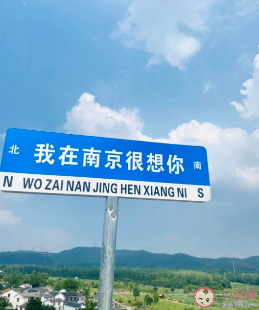 媒体想你的风许是该止了 想你路牌为什么走红