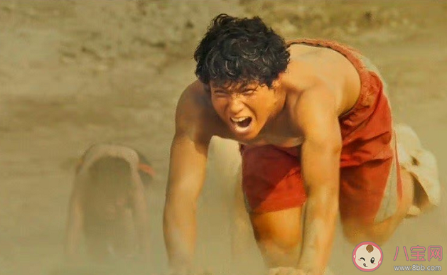 《八角笼中》有原型吗 八角笼是什么意思