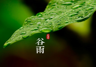 谷雨节气之后天气通常会有什么变化 蚂蚁庄园4月20日答案