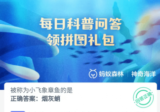 被称为小飞象章鱼的是 神奇海洋4月19日答案