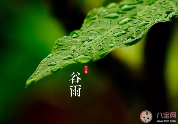 今日谷雨如何养生2023 谷雨节气养生秘笈 今日谷雨如何养生2023 谷雨节气养生秘笈