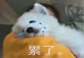 不生孩子还用努力工作吗 不生小孩压力会小很多吗