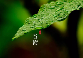 今日谷雨如何养生2023 谷雨节气养生秘笈