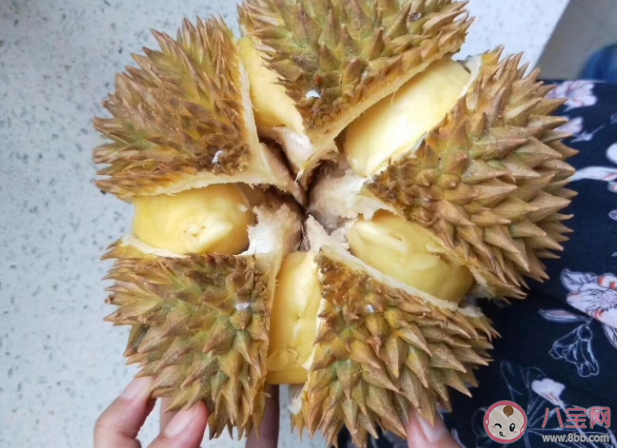 国产榴莲和进口榴莲相比有什么优势 不同产地榴莲有什么不同 国产榴莲和进口榴莲相比有什么优势 不同产地榴莲有什么不同