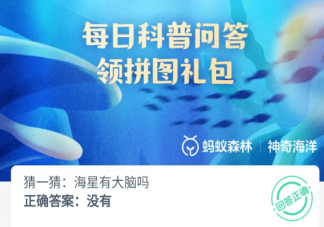 海星有大脑吗 神奇海洋4月21日答案