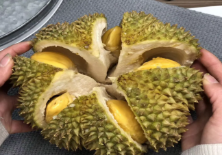 吃榴莲有助缓解痛经吗 怎样买到一个饱满的榴莲