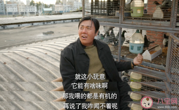 《漫长的季节》追剧日历 《漫长的季节》剧情介绍 《漫长的季节》追剧日历 《漫长的季节》剧情介绍