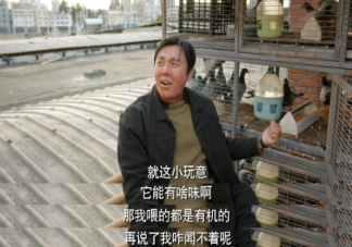 《漫长的季节》追剧日历 《漫长的季节》剧情介绍