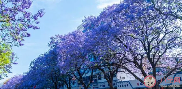 五一出行如何避开浪潮 五一适合游玩的小众旅行地2023