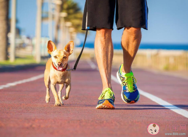 步速是衰老的重要指标 为什么走路快的人更长寿 步速是衰老的重要指标 为什么走路快的人更长寿
