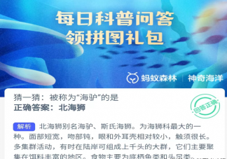 蚂蚁森林被称为海驴的是什么动物 神奇海洋4月24日答案