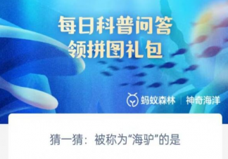 猜一猜被称为海驴的是 神奇海洋4月24日答案