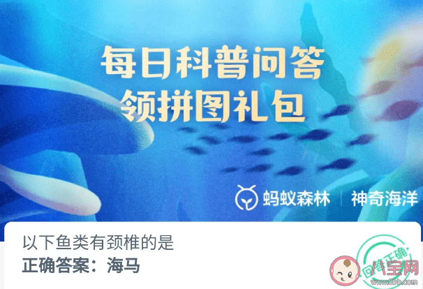 以下鱼类有颈椎的是 神奇海洋4月25日答案