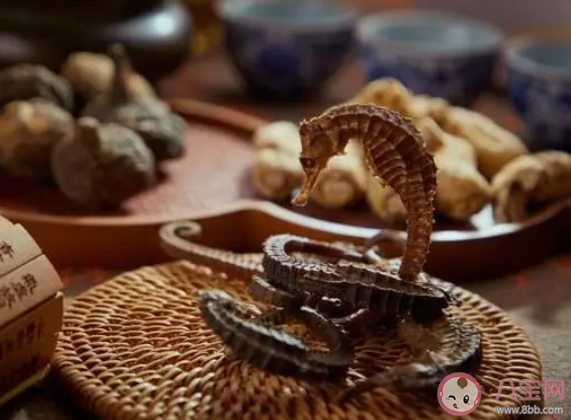 以下鱼类有颈椎的是 神奇海洋4月25日答案