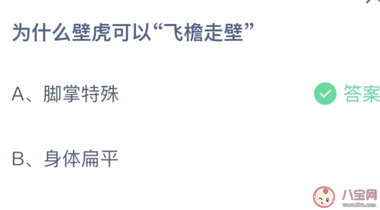 为什么壁虎可以飞檐走壁 蚂蚁庄园4月27日答案
