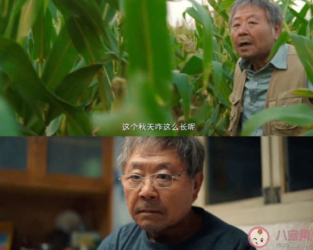 《漫长的季节》观后感美篇 《漫长的季节》剧评