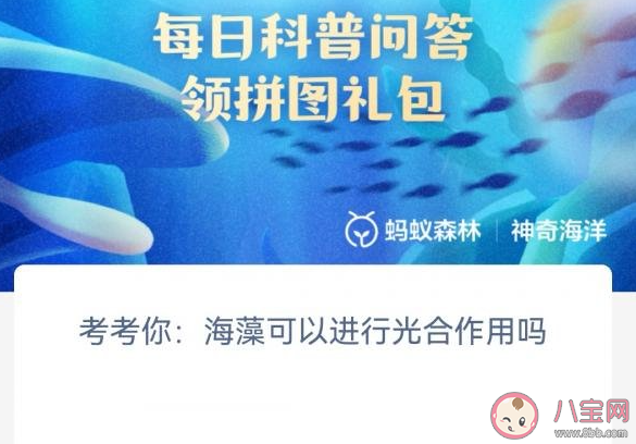 考考你海藻可以进行光合作用吗 神奇海洋4月27日答案