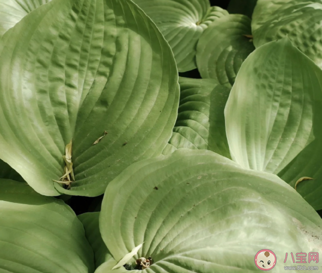 你会介意另一半文化水平低吗 会和比自己文化低的人谈恋爱吗 你会介意另一半文化水平低吗 会和比自己文化低的人谈恋爱吗