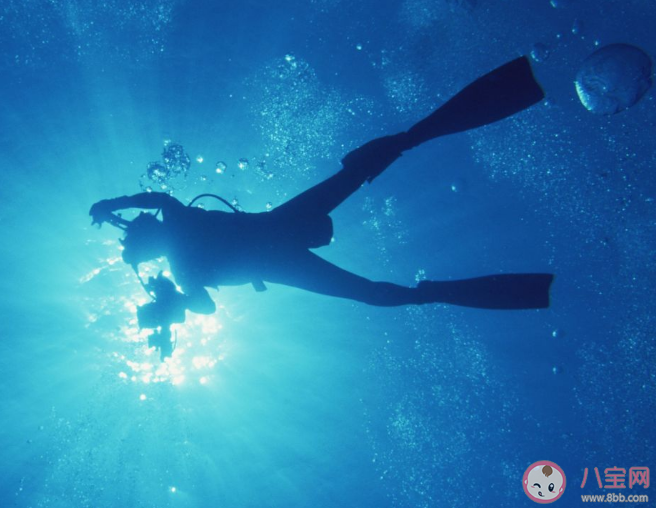 不会游泳的人可以去学潜水吗 潜水要注意的8个事项 不会游泳的人可以去学潜水吗 潜水要注意的8个事项