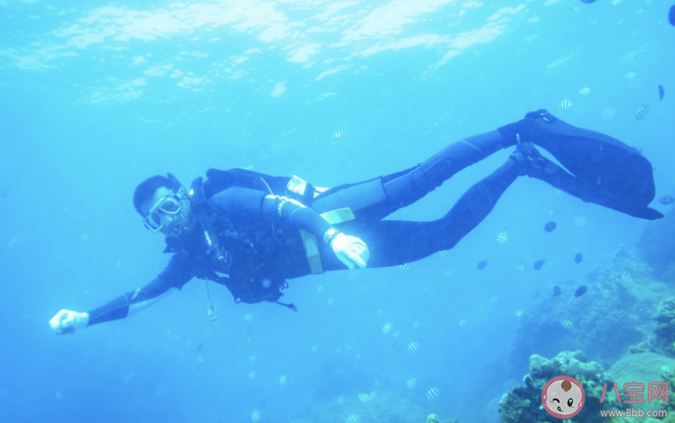 不会游泳的人可以去学潜水吗 潜水要注意的8个事项 不会游泳的人可以去学潜水吗 潜水要注意的8个事项