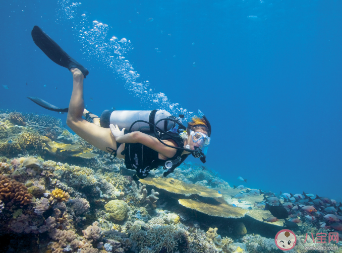 潜水运动危险系数有多高 哪些坏习惯容易出现潜水事故 潜水运动危险系数有多高 哪些坏习惯容易出现潜水事故