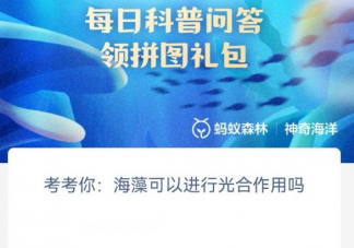 考考你海藻可以进行光合作用吗 神奇海洋4月27日答案